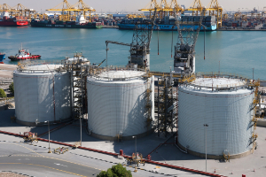 reel alesa storage facilities